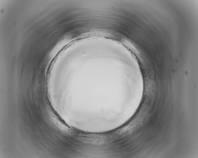 X0000086070836200704202124