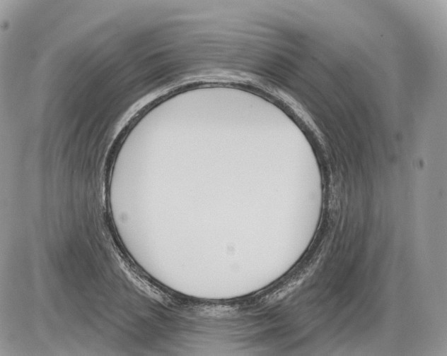 X0000086070837200704202124