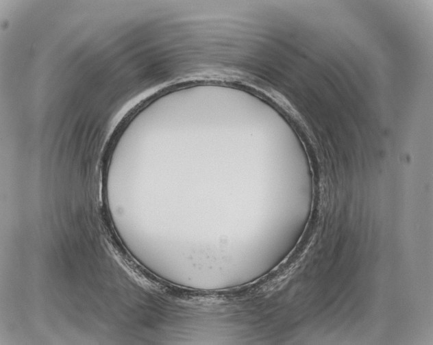 X0000086070838200704202124