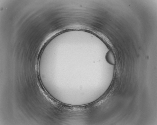 X0000086070839200704202124