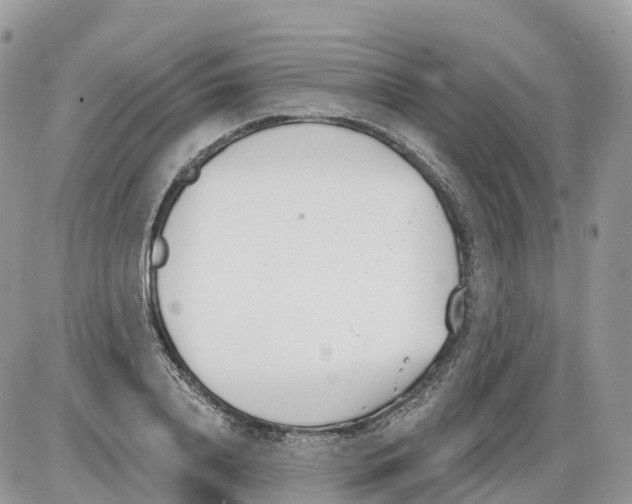 X0000086070840200704202124