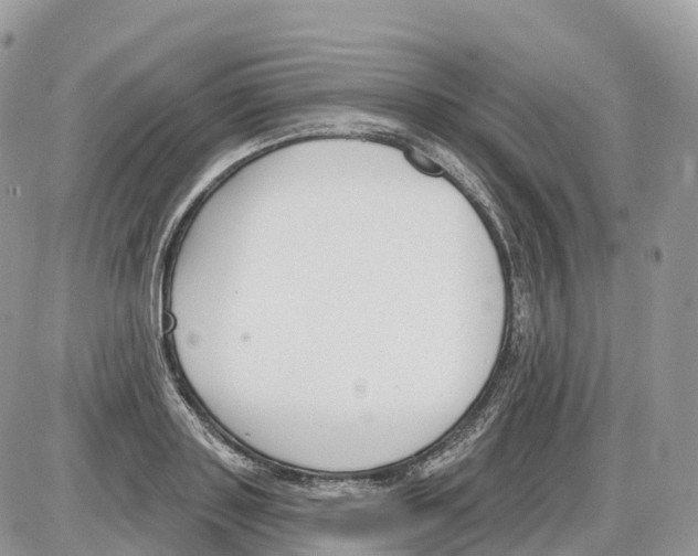 X0000086070843200704202124