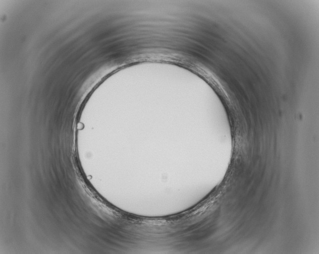 X0000086070844200704202124