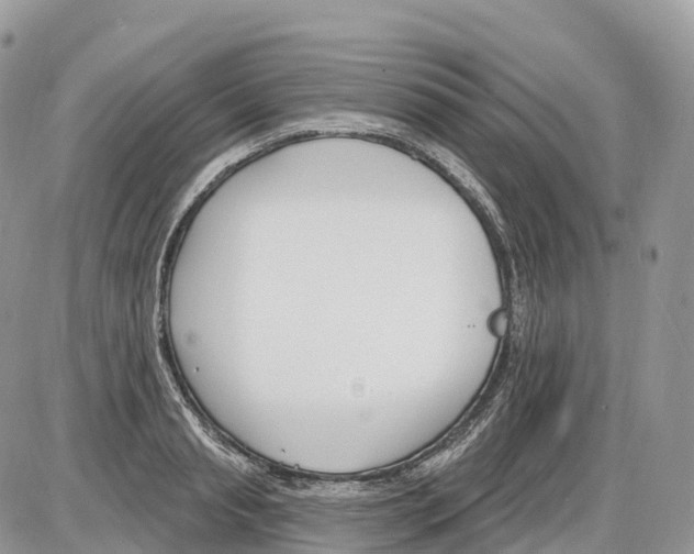 X0000086070845200704202124