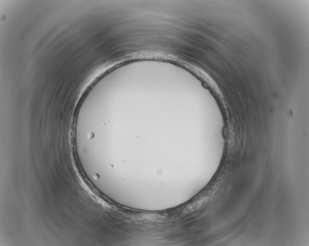 X0000086070847200704202124