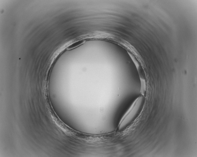 X0000086070850200704202124