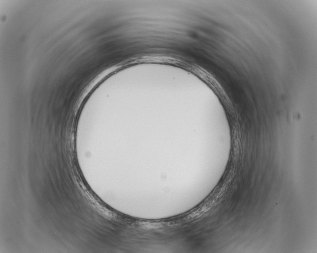 X0000086070852200704202124