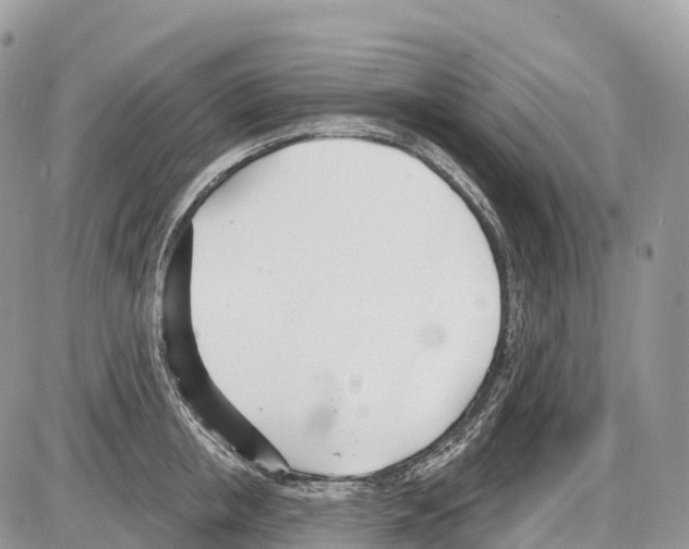 X0000086070853200704202124