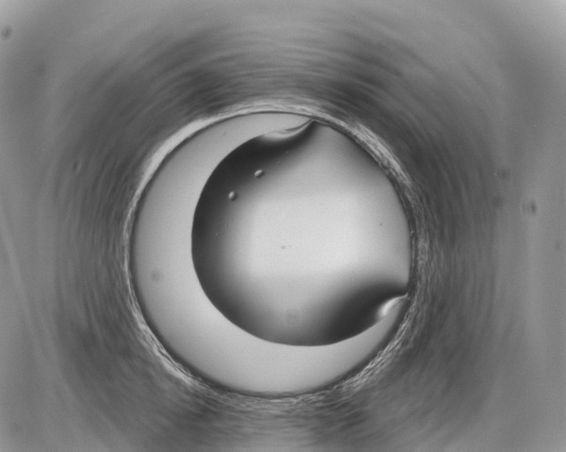 X0000086070854200704202124