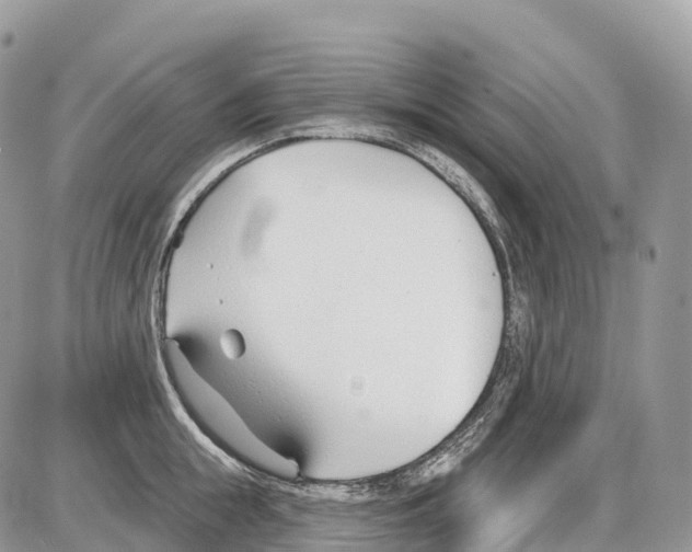 X0000086070855200704202124