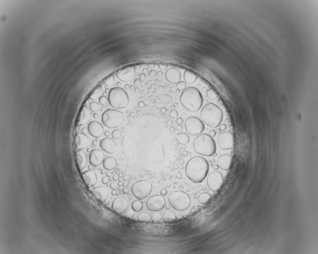 X0000086070856200704202124