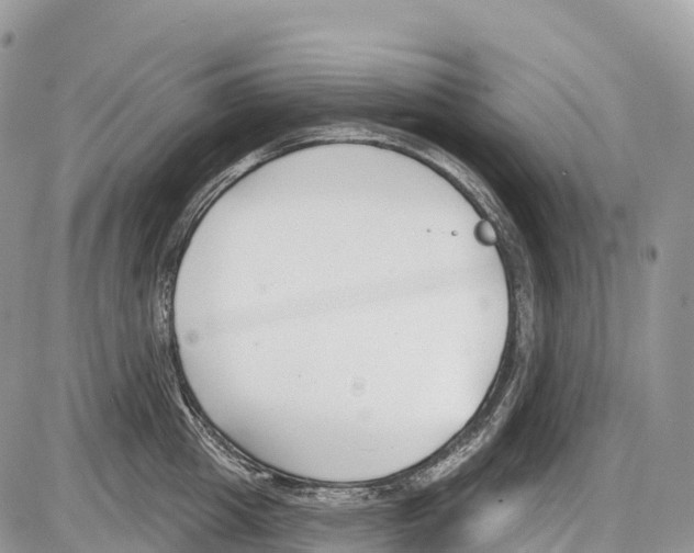 X0000086070857200704202124