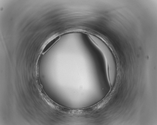 X0000086070858200704202124