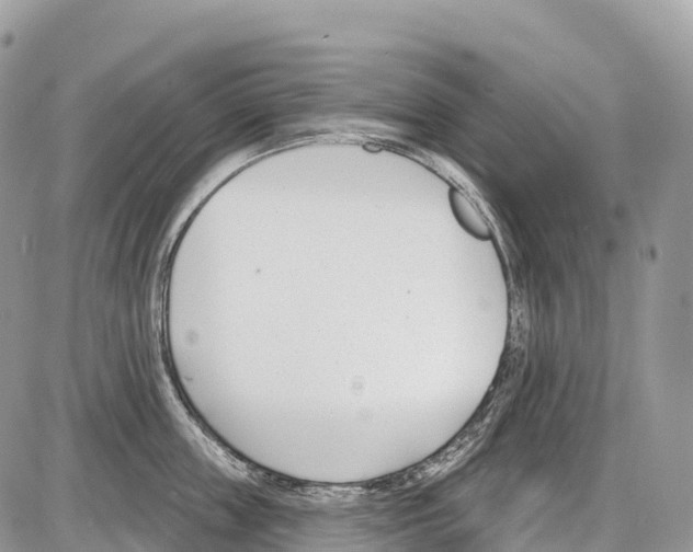 X0000086070859200704202124