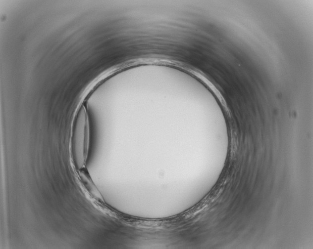 X0000086070861200704202124