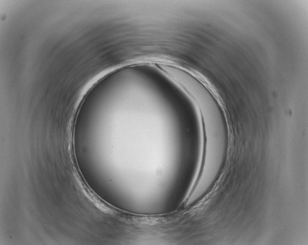 X0000086070862200704202124