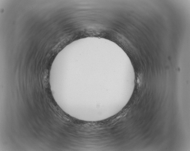 X0000086070867200704202124