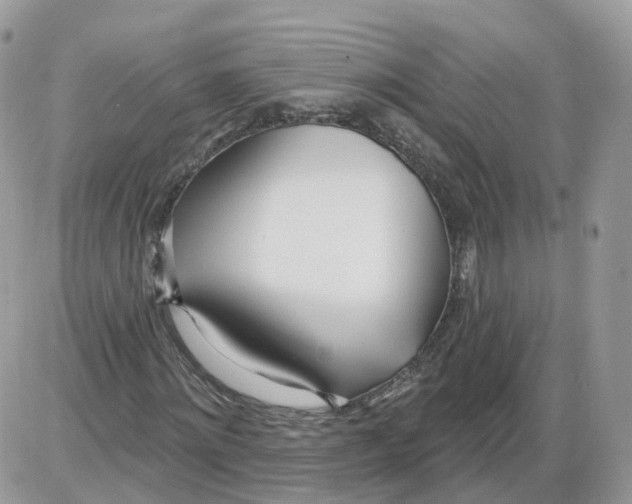 X0000086070868200704202124