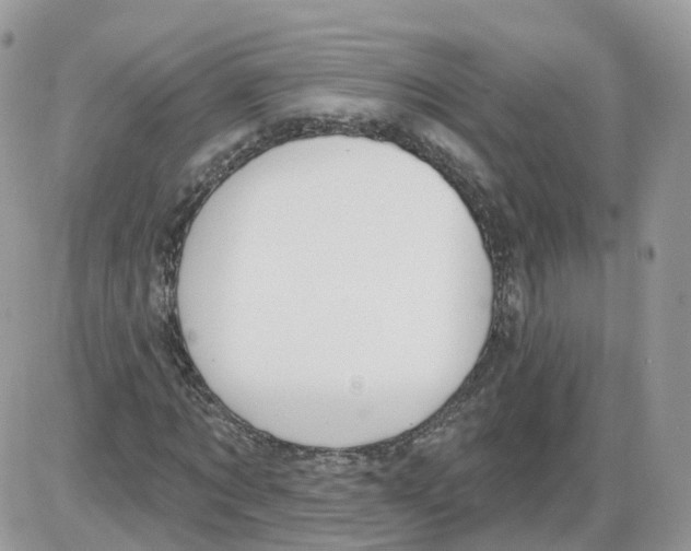 X0000086070869200704202124