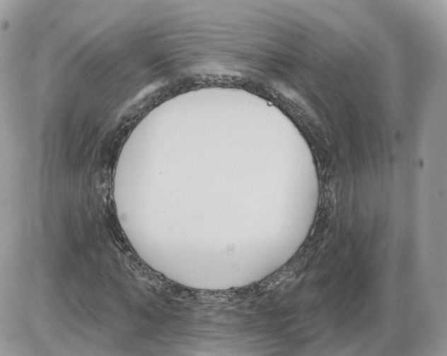 X0000086070870200704202124