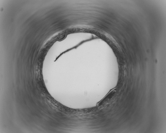 X0000086070872200704202124