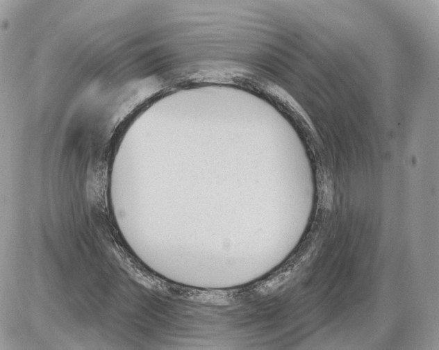 X0000086070874200704202124