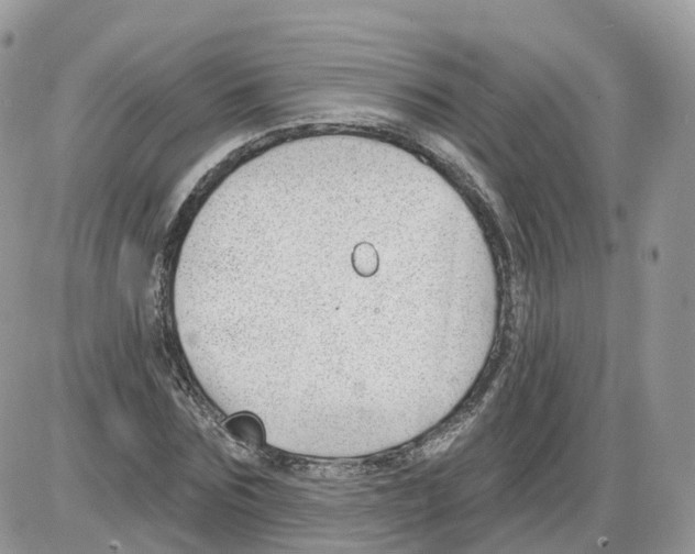 X0000086070875200704202124