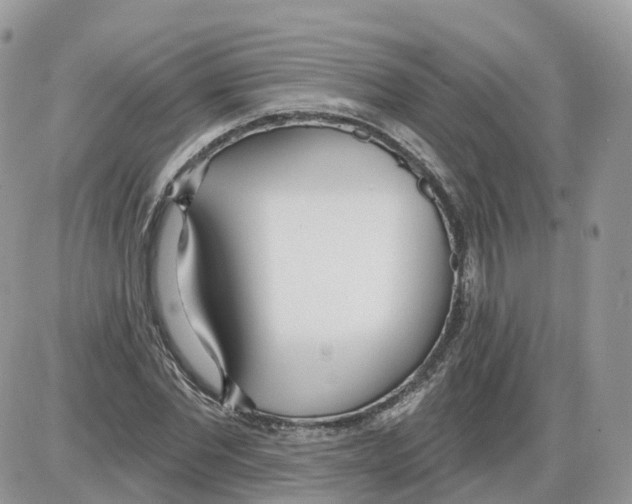 X0000086070877200704202124