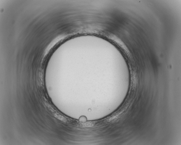 X0000086070878200704202124