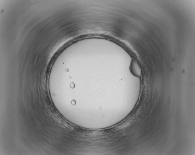 X0000086070879200704202123