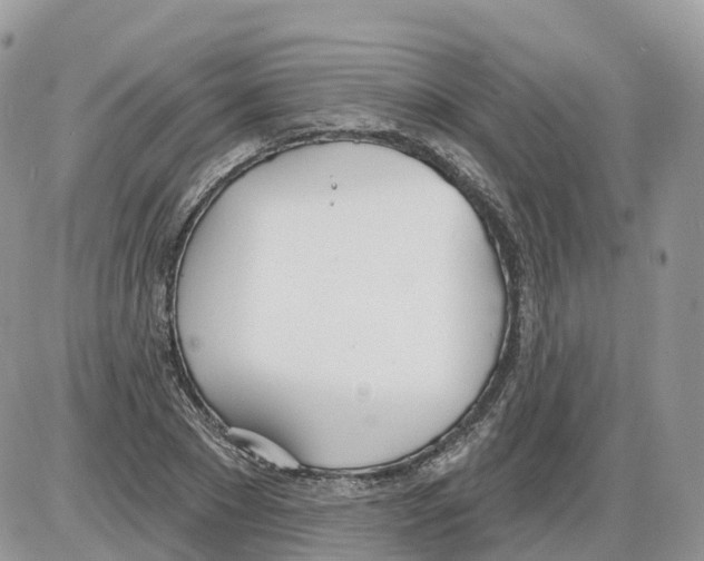 X0000086070881200704202123