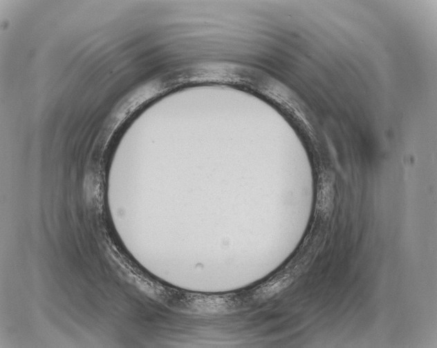 X0000086070882200704202123