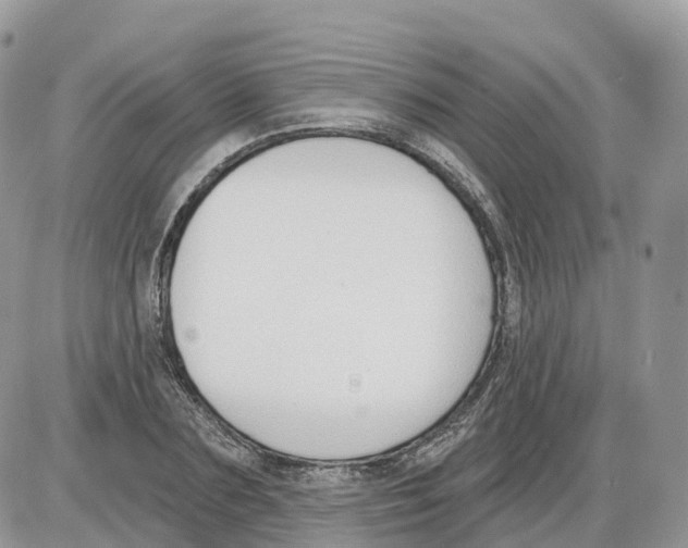 X0000086070883200704202123