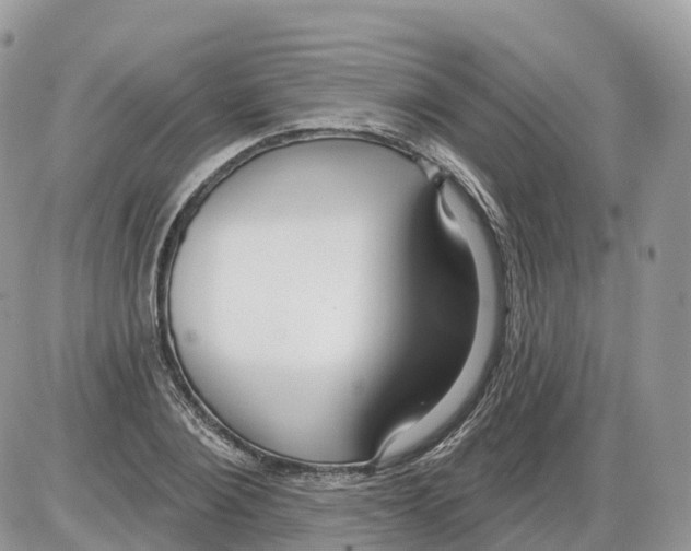 X0000086070884200704202123