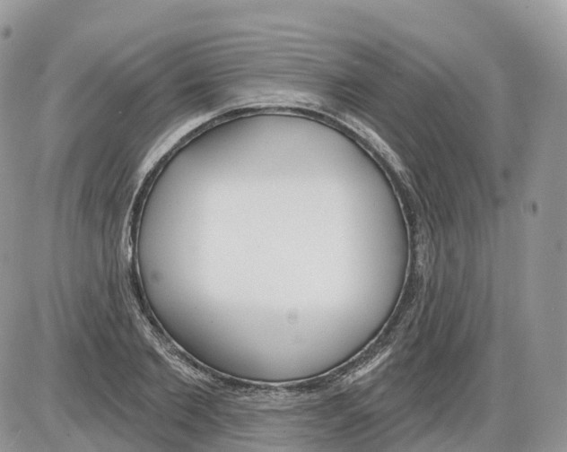 X0000086070885200704202123