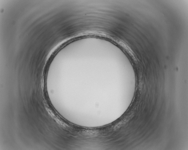 X0000086070888200704202123