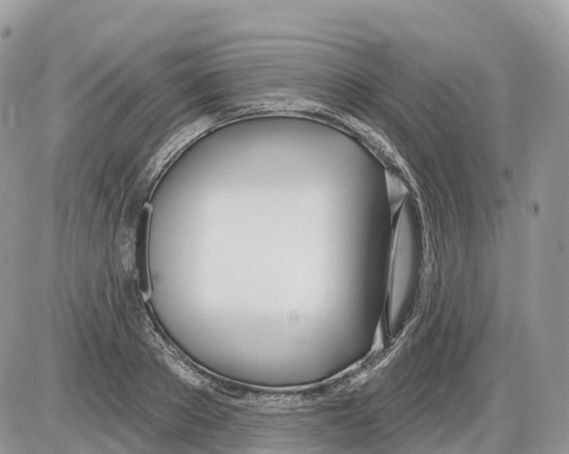 X0000086070889200704202123