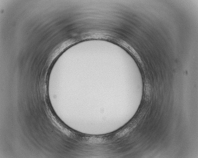 X0000086070890200704202123