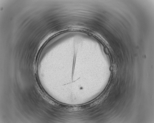 X0000086070891200704202123