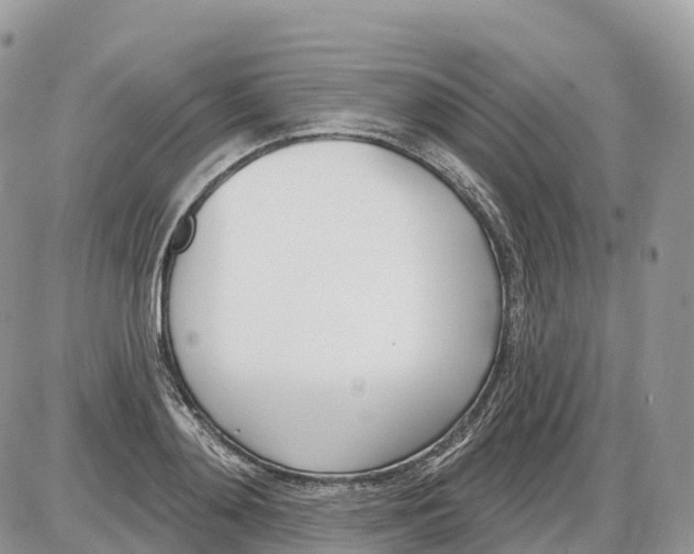 X0000086070892200704202123