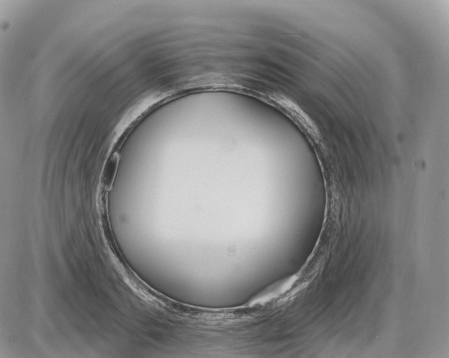 X0000086070893200704202123