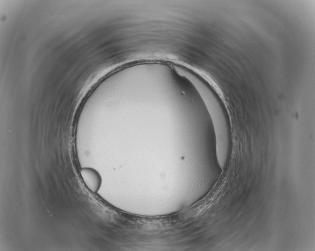 X0000086070895200704202123