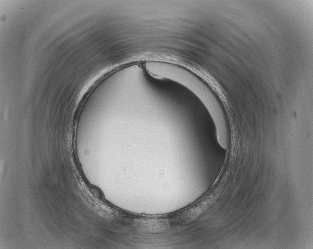 X0000086070896200704202123