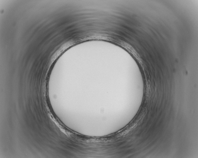 X0000086070898200704202123