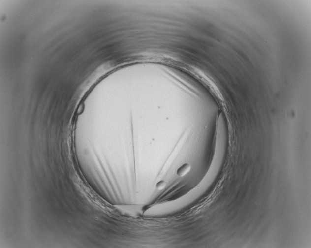 X0000086070899200704202123