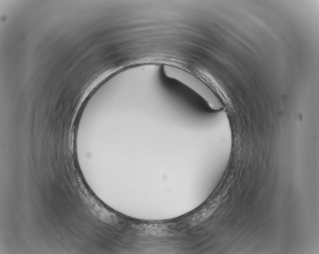 X0000086070900200704202123