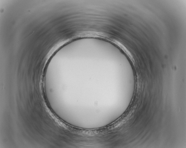 X0000086070901200704202123