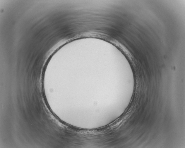 X0000086070902200704202123