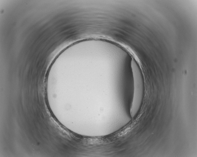 X0000086070903200704202123