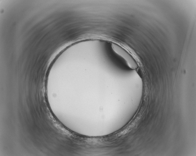 X0000086070904200704202123